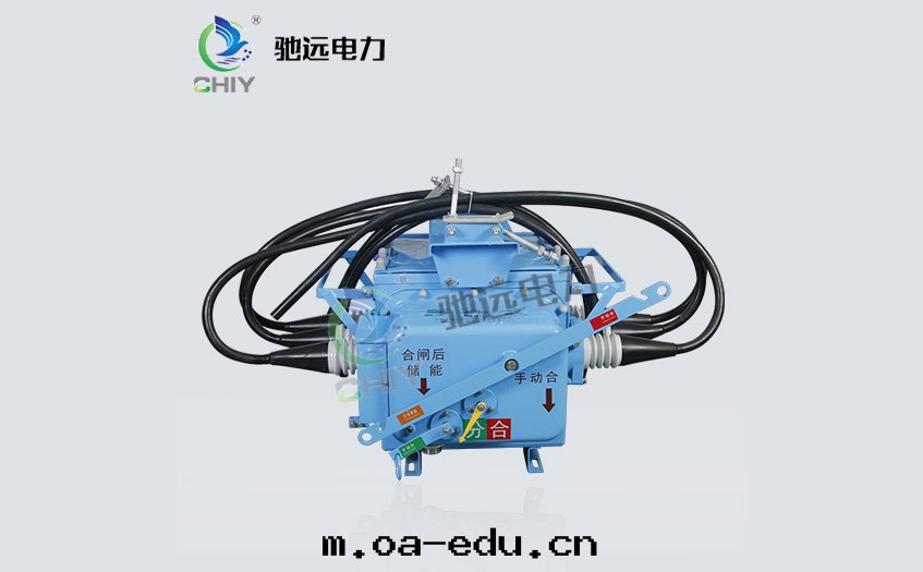 FZW28-12F/630-20 分(fēn)界真(zhēn)空(kōng)負荷开關(guān)