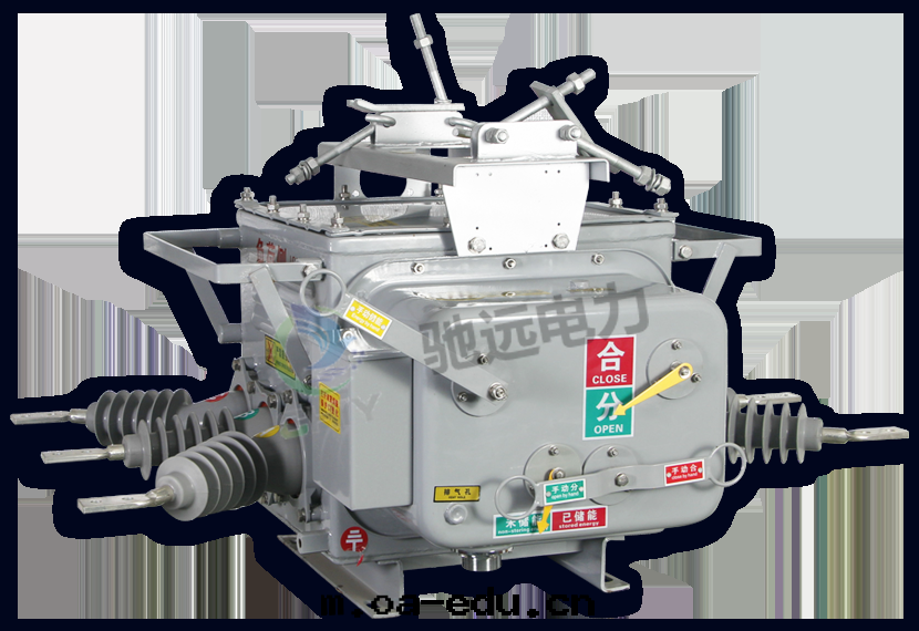 真(zhēn)空(kōng)斷路(lù)器産品图(tú)片(piàn)