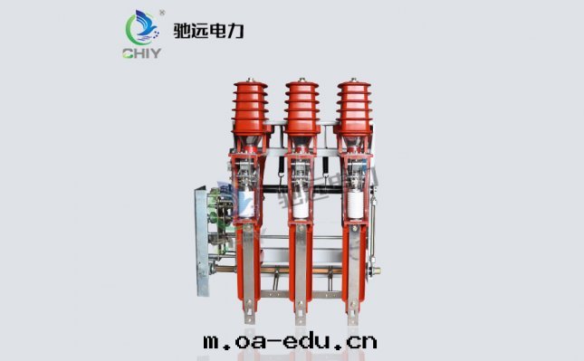 FZN25-12RD /630-20高(gāo)壓真(zhēn)空(kōng)負荷开關(guān)