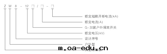 真(zhēn)空(kōng)斷路(lù)器型号(hào)说(shuō)明(míng)