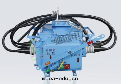 zw32真(zhēn)空(kōng)斷路(lù)器